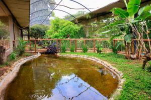 Zoológico de Brasília celebra 68 anos com programação especial e entrada gratuita